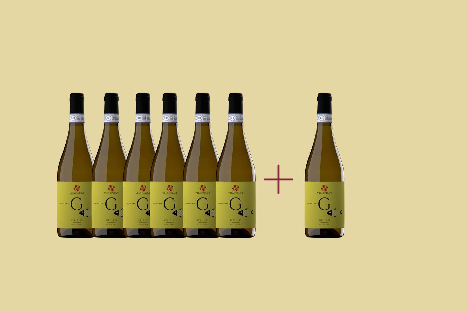 6+1 Aktion Grillo