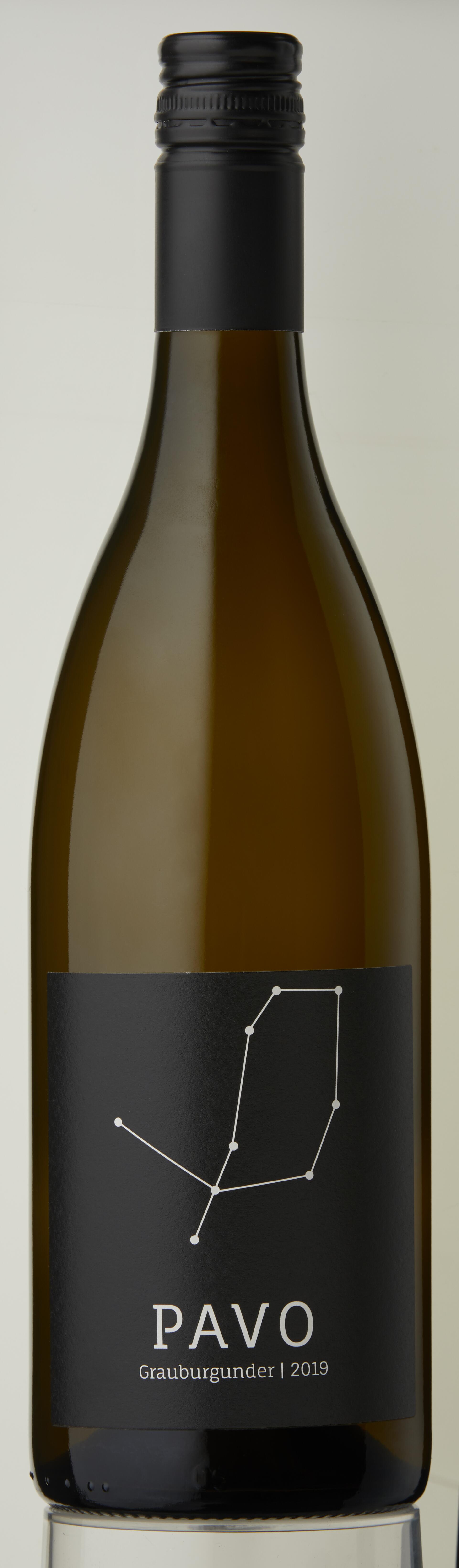 2024 Weinhaus am Wißberg "Pavo" Grauburgunder