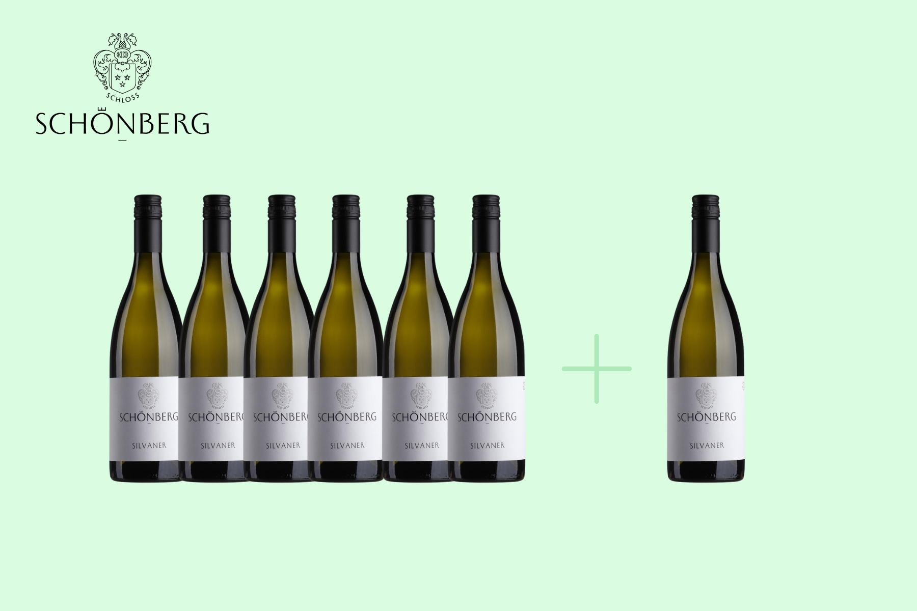 6+1 Schloss Schönberg Silvaner